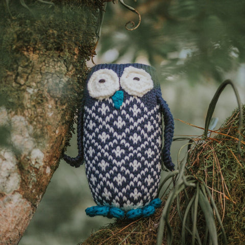 Owl in a Sweater