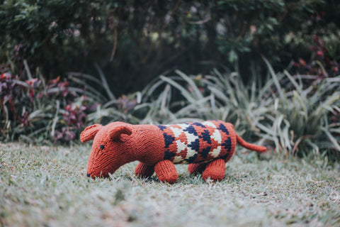 Dog in a Sweater