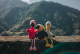 Toucan