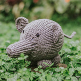 Jungle Animals