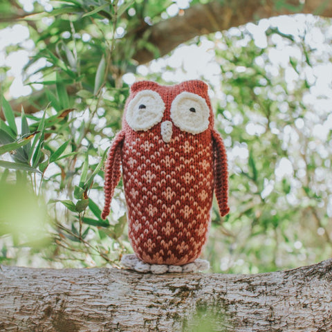Owl in a Sweater