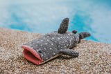 Whale Shark