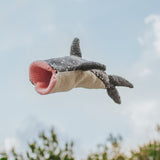 Whale Shark