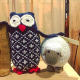 Owl in a Sweater