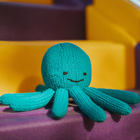 Octopus