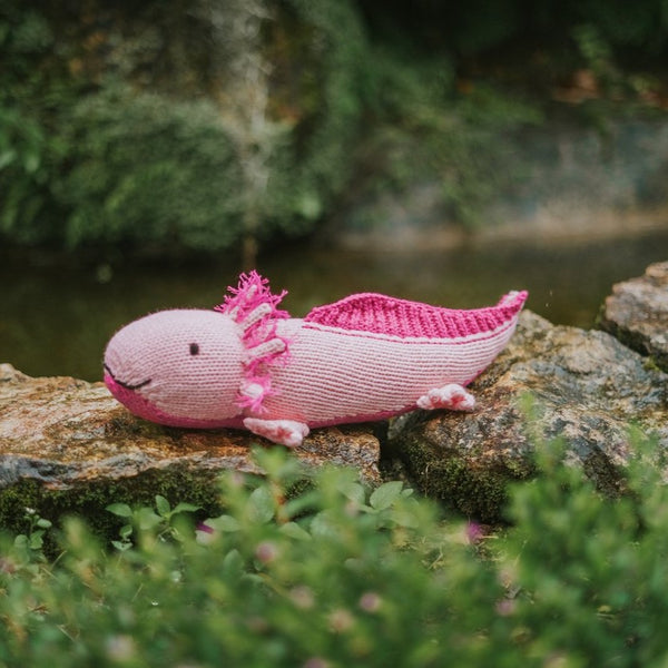 Augie the Axolotl Knitting Kit