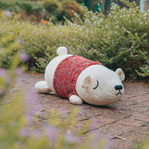 Sleepy Polar Bear