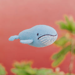 Baby Blue Whale – Knitting Expedition